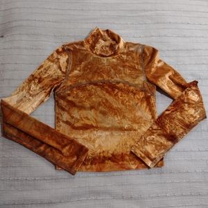 Aritzia Wilfred Free / Moon Crushed Velvet Orange Cropped Turtleneck